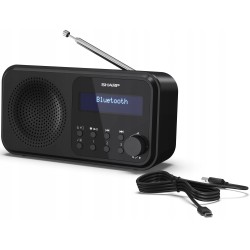 Outlet Radio sieciowo-bateryjne DAB+ FM Sharp DR-P420 Mono Czarne