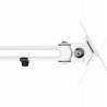 Outlet InLine Uchwyt do Monitora 17-32" Max 8kg VESA 75x75 100x100mm Biały