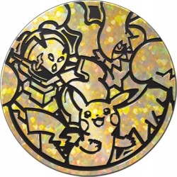 Pokémon Kolekcjonerska Gra karciana Akademii Walki Pikachu-ex Carmadura FR