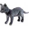 Outlet Die Schule der Magischen Tiere kot Karajan maskotka 30 cm szary