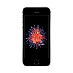 Smartfon Apple iPhone SE 2 GB / 16 GB 4G (LTE) szary 1642 mAh 4 " Bluetooth