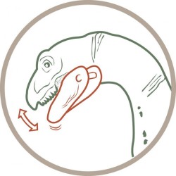 Outlet Figurka Dinozaur Terizinozaur Schleich 15003