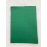 Outlet Papier kolorowy jodłowy DIN A4 130 g/m² 100 arkuszy zielony