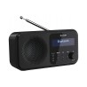 Outlet Radio sieciowo-bateryjne Bluetooth DAB+ FM Sharp DR-P420 Czarny