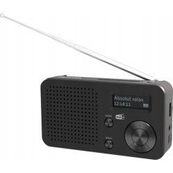 Outlet Radio sieciowo-bateryjne Telestar TOP100 BT5.4 DAB+ FM 1050mAh Szare
