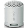 Outlet Głośnik Bezprzewodowy Przenośny Sony SRS-XB100 5W BT 5.3 IP67 Szary