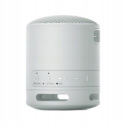 Outlet Głośnik Bezprzewodowy Przenośny Sony SRS-XB100 5W BT 5.3 IP67 Szary