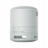 Outlet Głośnik Bezprzewodowy Przenośny Sony SRS-XB100 5W BT 5.3 IP67 Szary