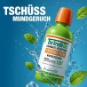 The Breath Co. Płyn do płukania ust 500ml Antybakteryjny Mięta