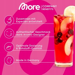 More Nutrition Zerup Syrop Bez Cukru Mojito 65ml na 8L Wody