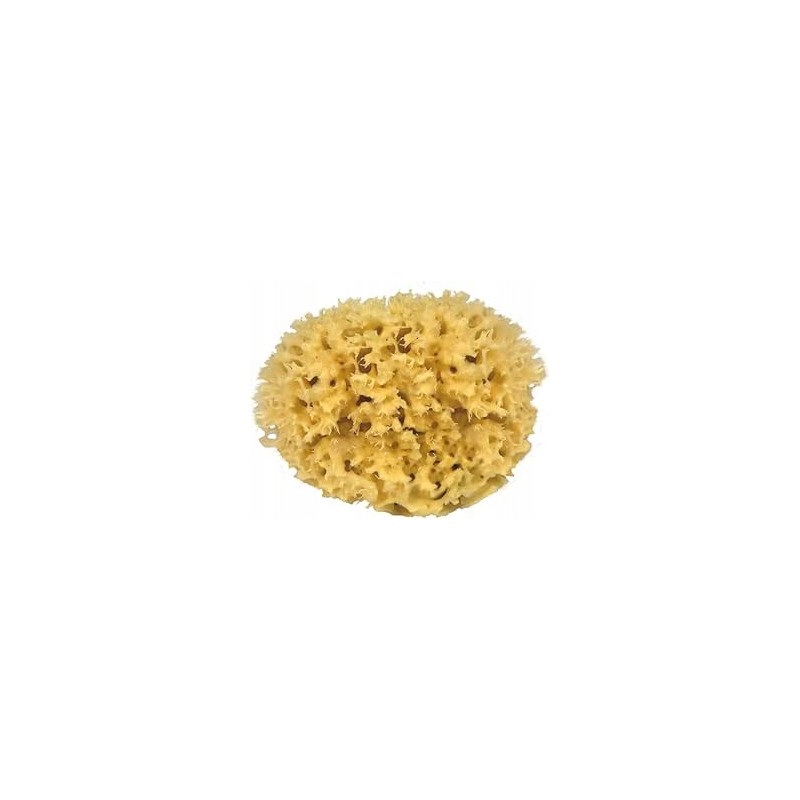 CROLL & DENECKE M130 naturalna gąbka premium 1 sztuka elastyczna miękka