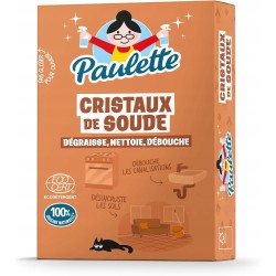 Paulette Odtłuszczacz do Rur Piekarnika Kryształki Sody 1kg Ecocert