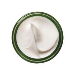 Krem nawilżający do twarzy Origins biała herbata dzień i noc 50 ml