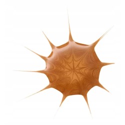 Essence Drop of Sunshine Kropelki brązujące do twarzy 25 ml
