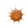 Essence Drop of Sunshine Kropelki brązujące do twarzy 25 ml