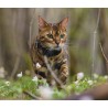 Outlet Tractive CAT Lokalizator Mini Wodoodporny 55x28x17mm 25g Granatowy