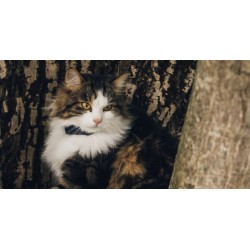 Outlet Tractive CAT Lokalizator Mini Wodoodporny 55x28x17mm 25g Granatowy