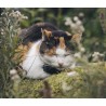 Outlet Tractive CAT lokalizator mini wododporny 55x28x17mm 25g granatowy