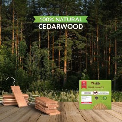 Outlet Cedrowe wieszaki na mole 100% natrualna ochrona ubrań i zapachu
