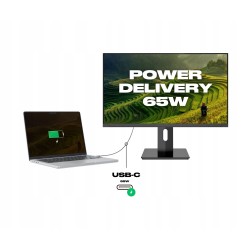 Outlet JAPANNEXT Monitor 23,8" IPS 4K UHD 3840 × 2160 60Hz 8 ms Czarny