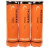 Outlet Piłka tenisowa Head Radical Amazon Exclusive 3 x 4 sztuki zestaw