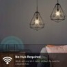 Kasa Smart Bulb WiFi Filament Light Bulb, E27