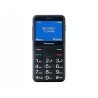 Outlet Telefon komórkowy Panasonic KX-TU155 512 MB 2G ekran 2.4 cali