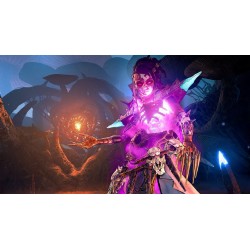 Outlet Tiny Tina's Wonderlands Next-Level Edition Sony PlayStation 5 (PS5)