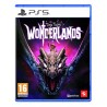 Outlet Tiny Tina's Wonderlands Next-Level Edition Sony PlayStation 5 (PS5)