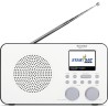 USZKODZONY Radio sieciowo-bateryjne DAB+, FM, internetowe TechniSat Viola 2