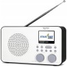USZKODZONY Radio sieciowo-bateryjne DAB+, FM, internetowe TechniSat Viola 2