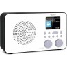 USZKODZONY Radio sieciowo-bateryjne DAB+, FM, internetowe TechniSat Viola 2