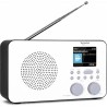 USZKODZONY Radio sieciowo-bateryjne DAB+, FM, internetowe TechniSat Viola 2