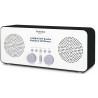 USZKODZONY Radio sieciowo-bateryjne DAB+, FM TechniSat Viola 2 S