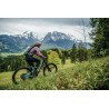 Abus Modrop Pine Green M