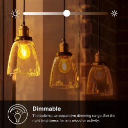 Kasa Smart Bulb WiFi Filament Light Bulb, E27