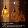 Kasa Smart Bulb WiFi Filament Light Bulb, E27
