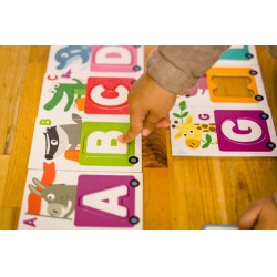 Gra edukacyjna Sekcja Petite Nathan wersja francus