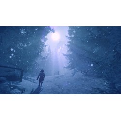 Outlet Skabma Snowfall Sony PlayStation 5 (PS5) PEGI 7
