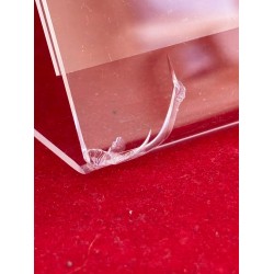 Outlet Stojak stołowy DIN A4 reklamowy przezroczysty grubość materiału 2 mm