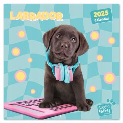 Outlet Kalendarz na ścianę 30x30 cm Studio Pets Labrador Oficjalne 2025 rok