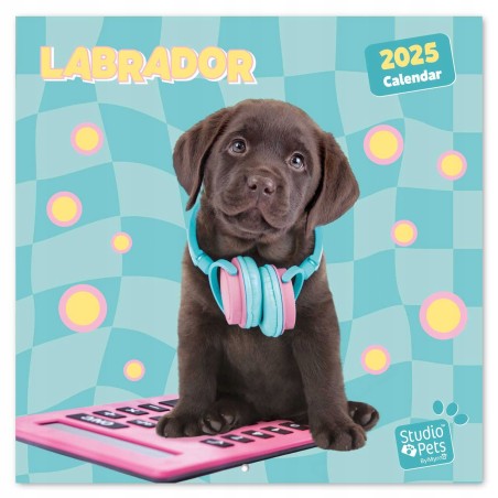 Outlet Kalendarz na ścianę 30x30 cm Studio Pets Labrador Oficjalne 2025 rok