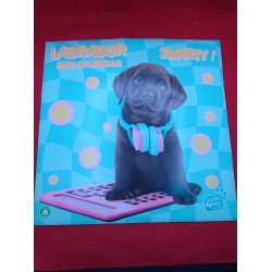 Outlet Kalendarz na ścianę 30x30 cm Studio Pets Labrador Oficjalne 2025 rok