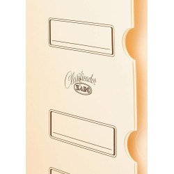 Outlet Saro Teczka organizacyjna czarna plastikowa z gumką elegancka 12 poz