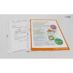 Outlet Favorit koperty/koszulki na dokumenty 22x30 100 sztuk transparentne
