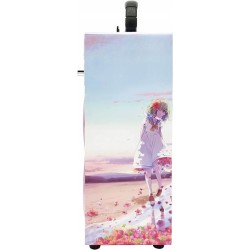 Outlet DYNASONIC Głośnik z mikrofonem do karaoke Bluetooth AUX 02517 anime