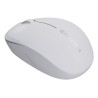 Outlet CANYON Mysz MW 04 Oburęczna OPIS Biała/Szara USB Radio bezprzewodowa