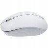 Outlet CANYON Mysz MW 04 Oburęczna OPIS Biała/Szara USB Radio bezprzewodowa