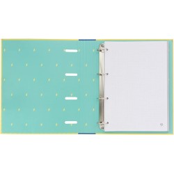Outlet Mr. Wonderful segregator z pierścieniami WOA11102ES 120 arkuszy