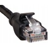 Outlet Patchcord Amazon U/FTP 6 RJ45 / RJ45 LAN długość kabla 1,5 m